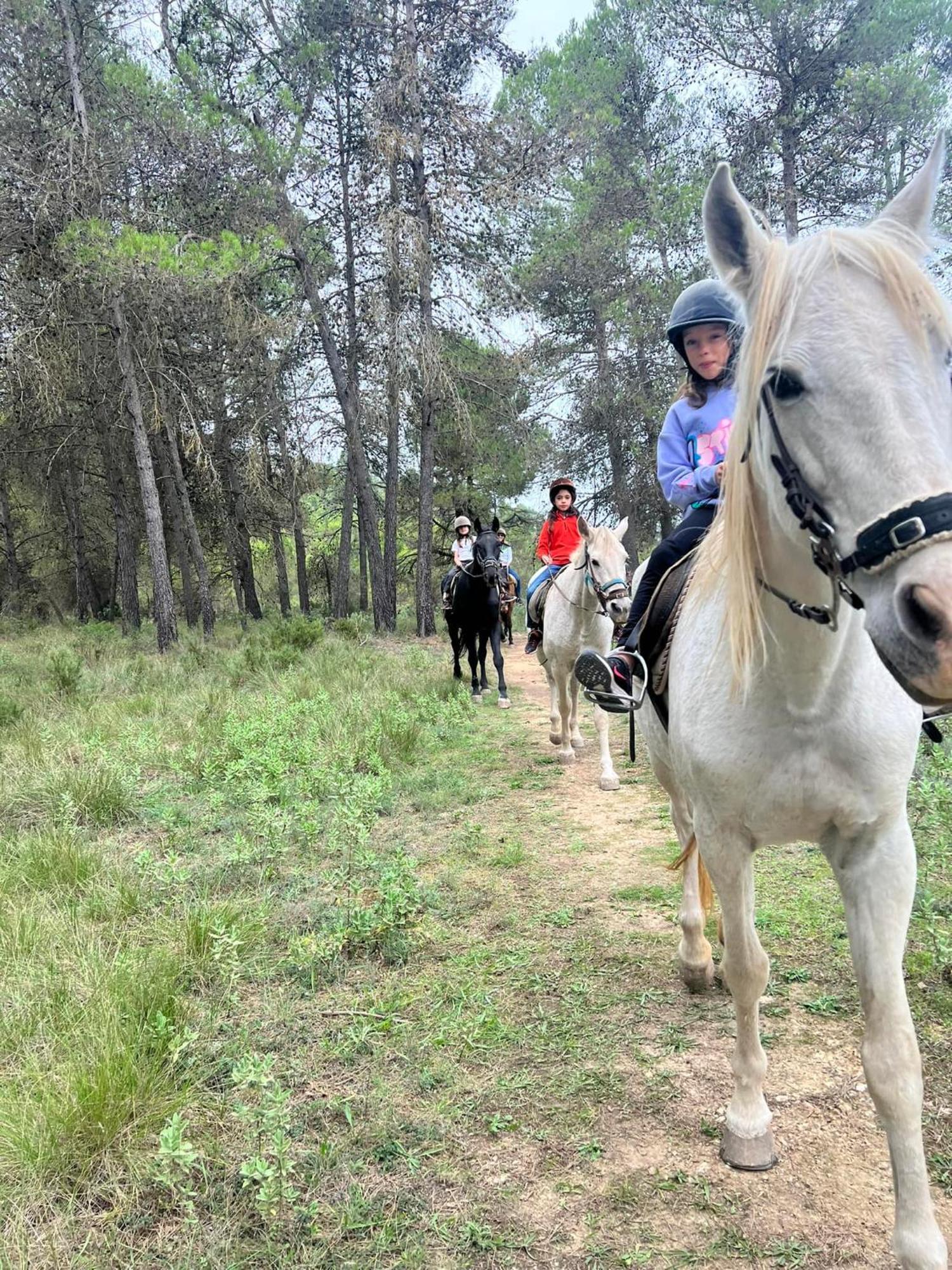 Хостел Riera Dagres Relax Rural Grupos Екстер'єр фото